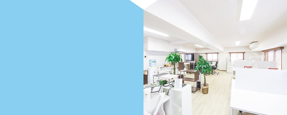 Bright office interior with desks, chairs, potted plants, and partial blue color block on the left